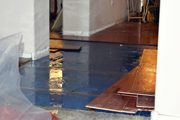 Professional Sewage Cleanup technician working in Hamilton, IL
